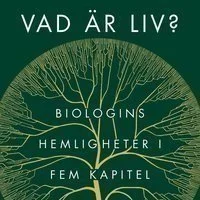 Vad är Liv ?  (del 3)