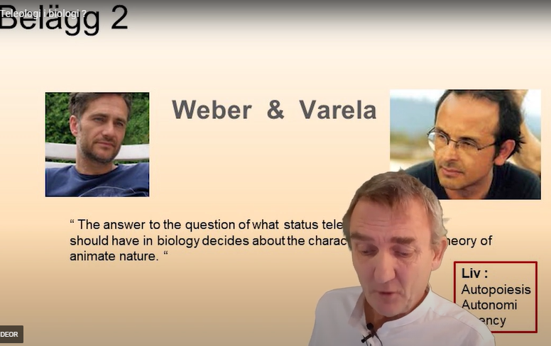 Är teleologi på väg tillbaka till biologin ? 