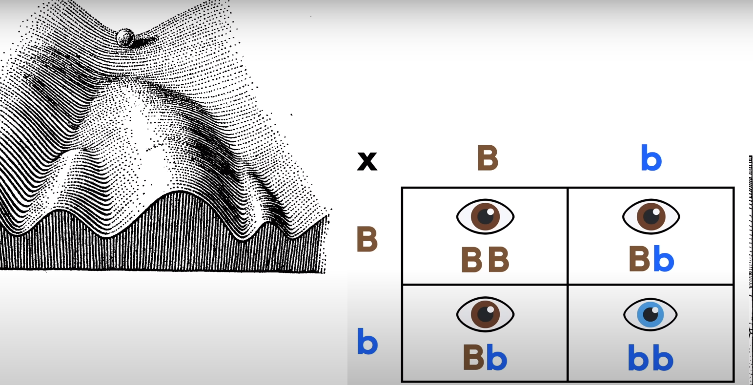 Dags att skrota en naiv Mendelgenetik  ?