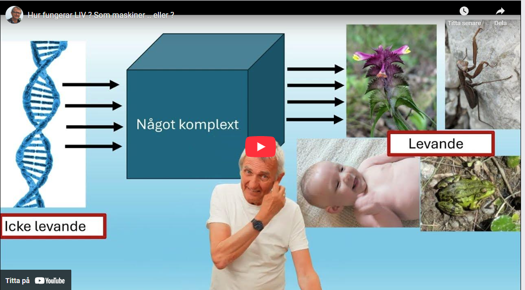 Fungerar liv som maskiner  ?