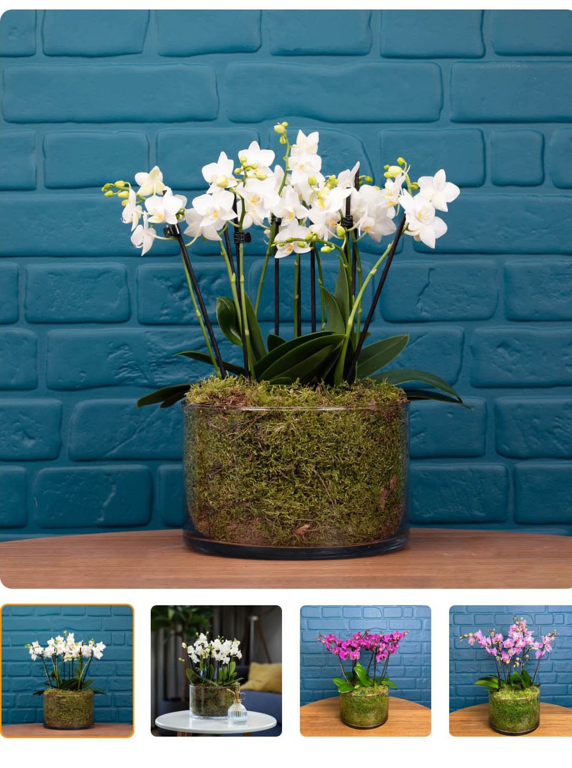 £50 | Bouquet of orchids
