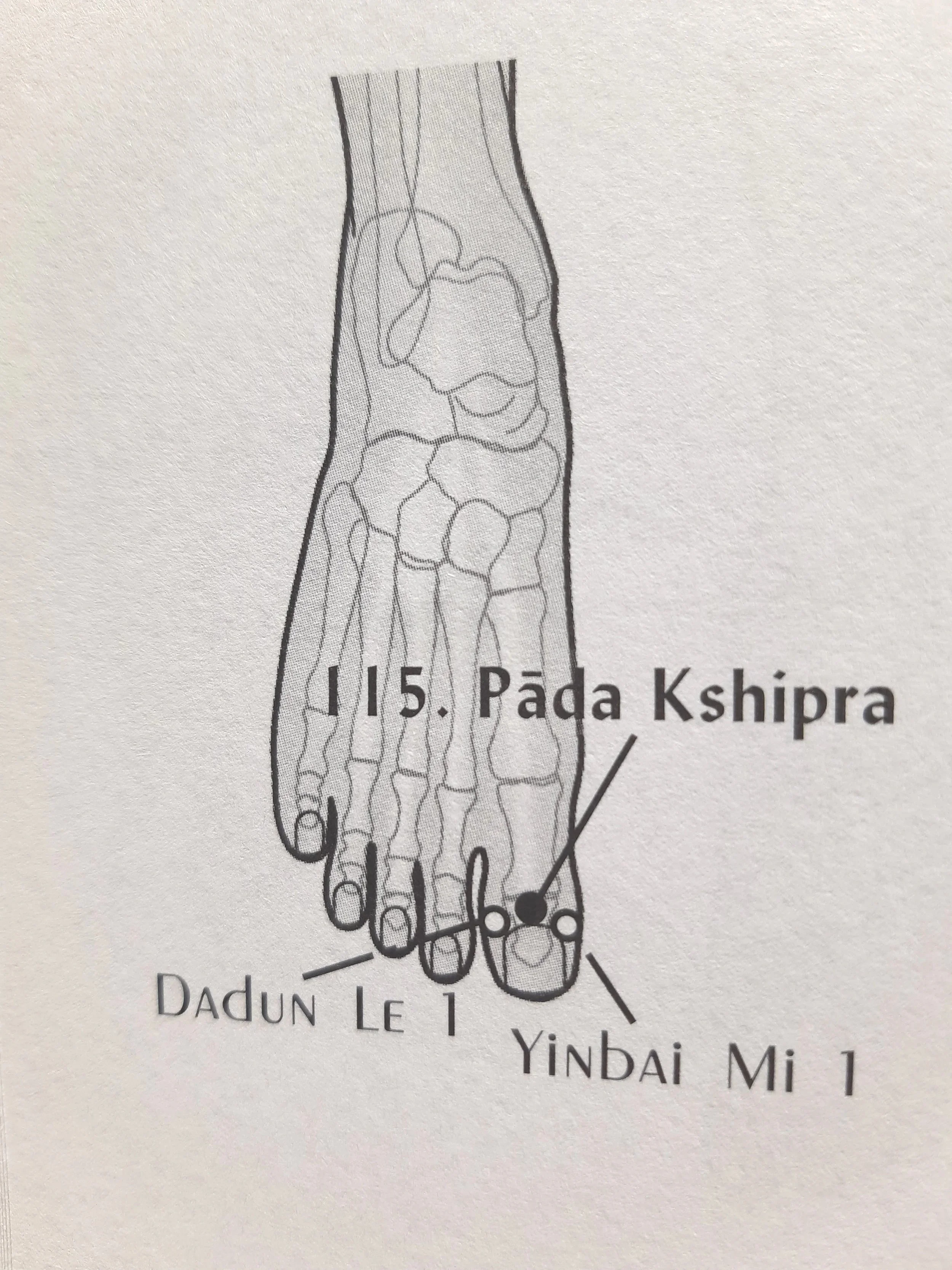 Marma Punkte Hormonsystem
