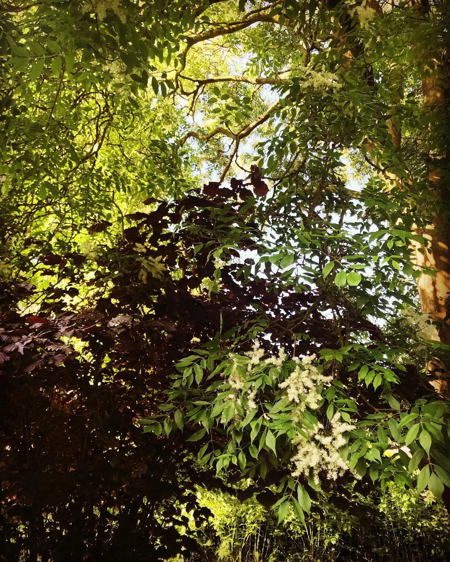 Allergies. Hay fever. Pollen. Raise your hand if they&rsquo;re bothering you?!

A lot of these symptoms in clinic this week. Did you know that a
Acupuncture can help with this? Most of my patients are pleasantly surprised to hear this! 

If you thoug