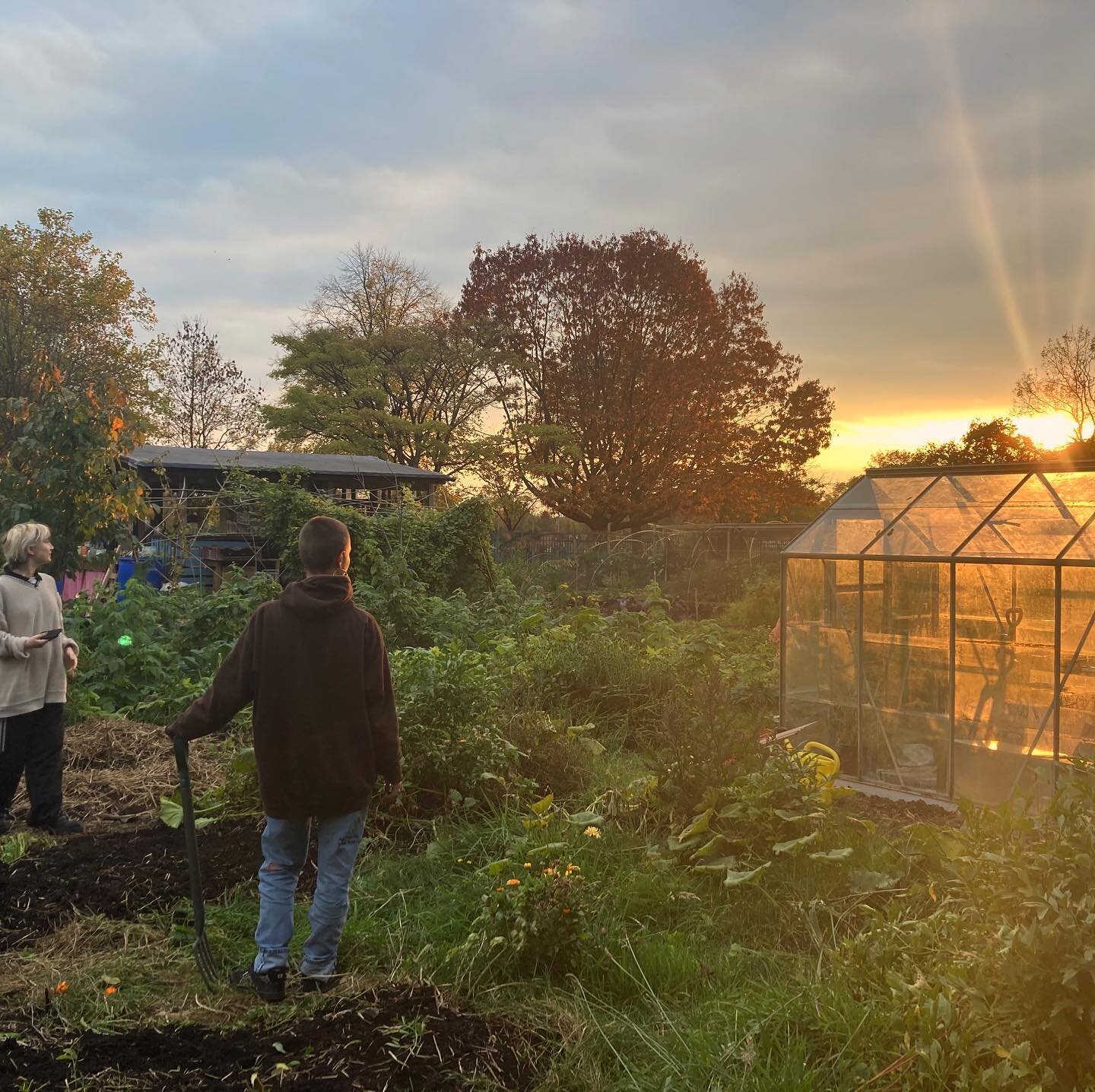 Golden hour in the garden ☀️