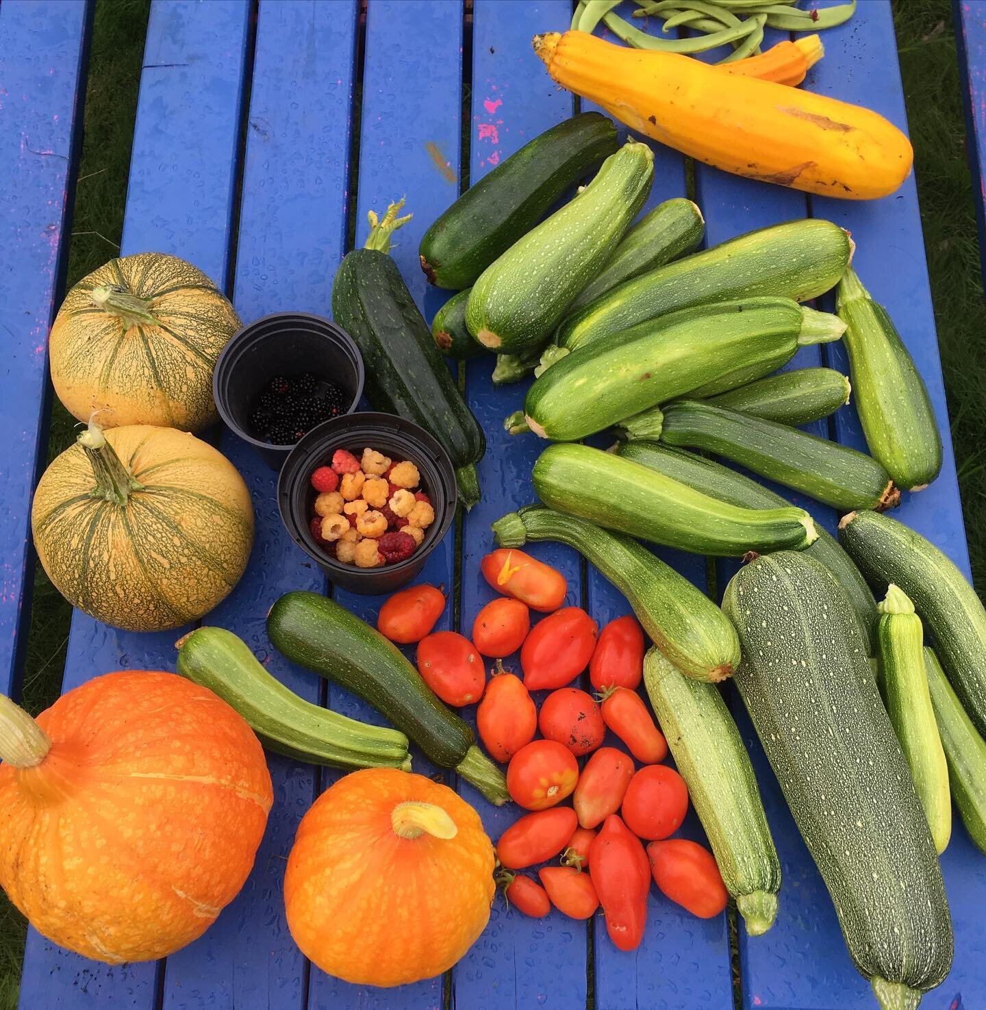 Some of our wonderful fruit and veg harvested this summer 🌱