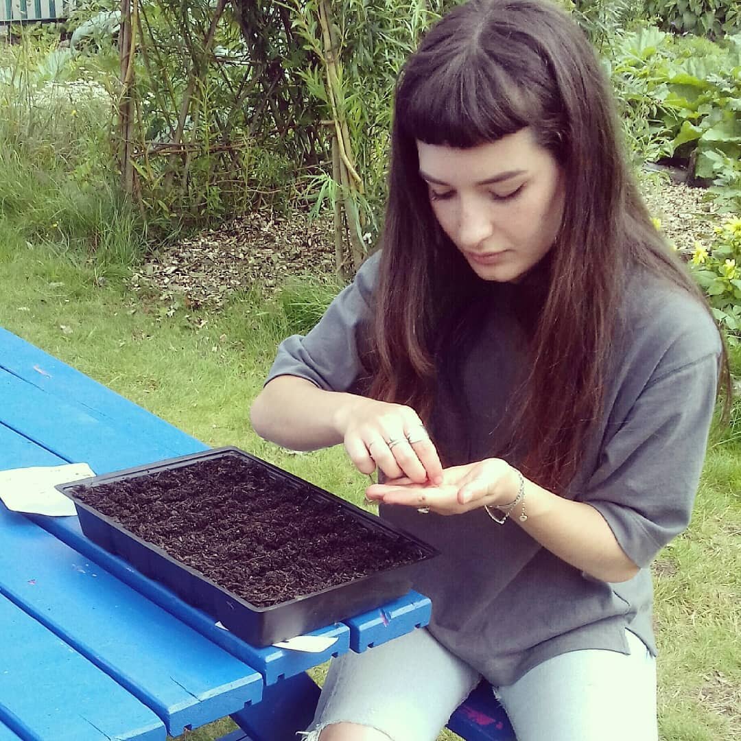 Had a lovely day down at the garden today with volunteers old and new! 💚