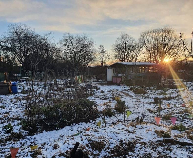 The ground may be frozen but our team are still busy planning, reflecting and organising for the year ahead 🌱