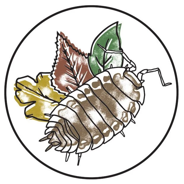 Hand illustrated woodlouse minibeast with leaves logo