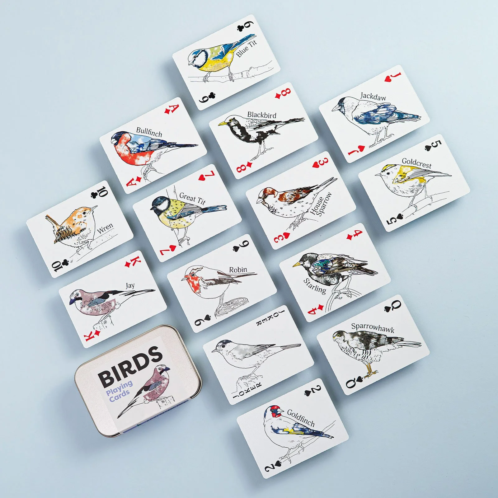 JILLY-BIRDS2.jpg