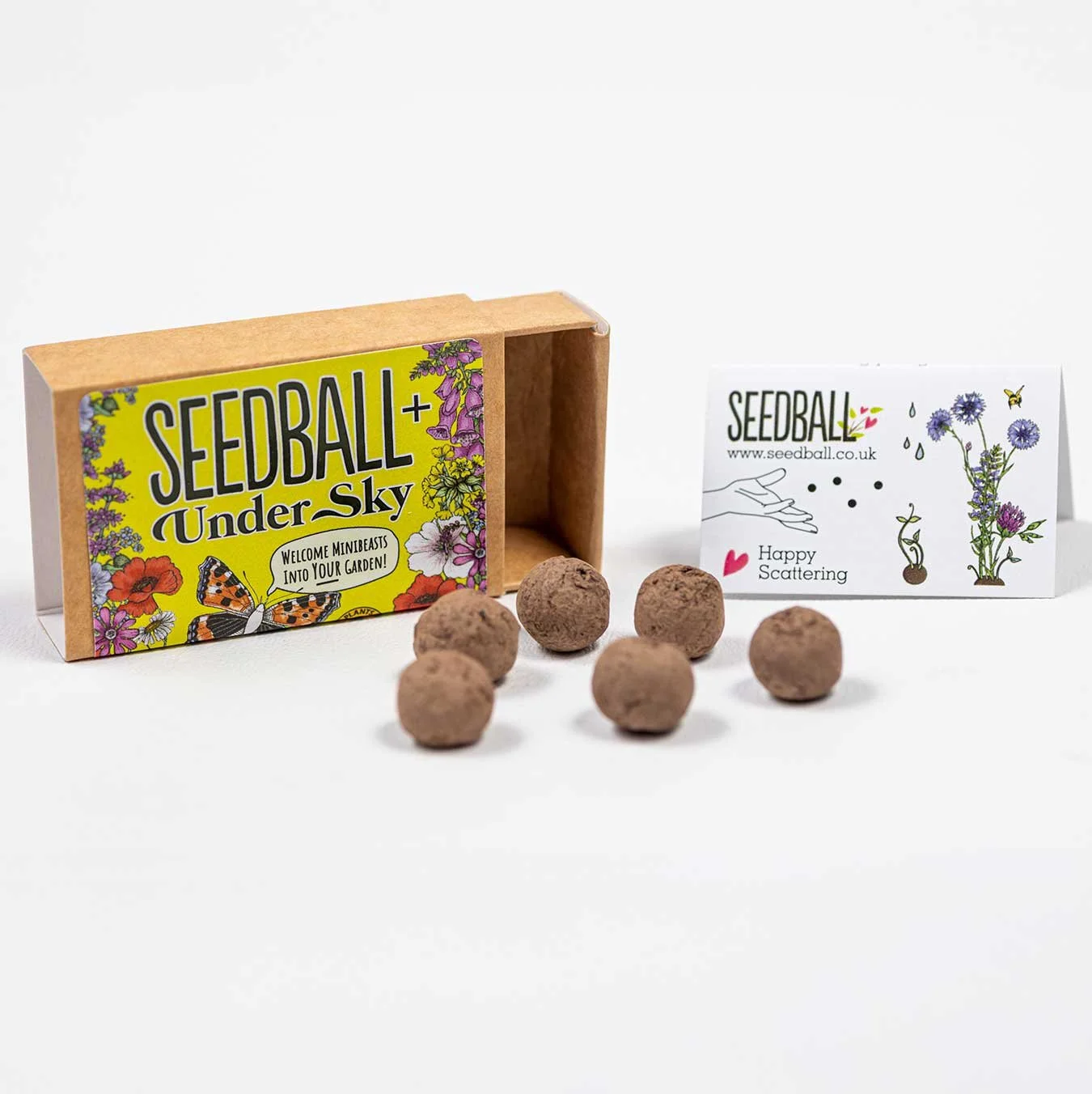 Little-Eggsplorers-Seedball-ETSY.jpg