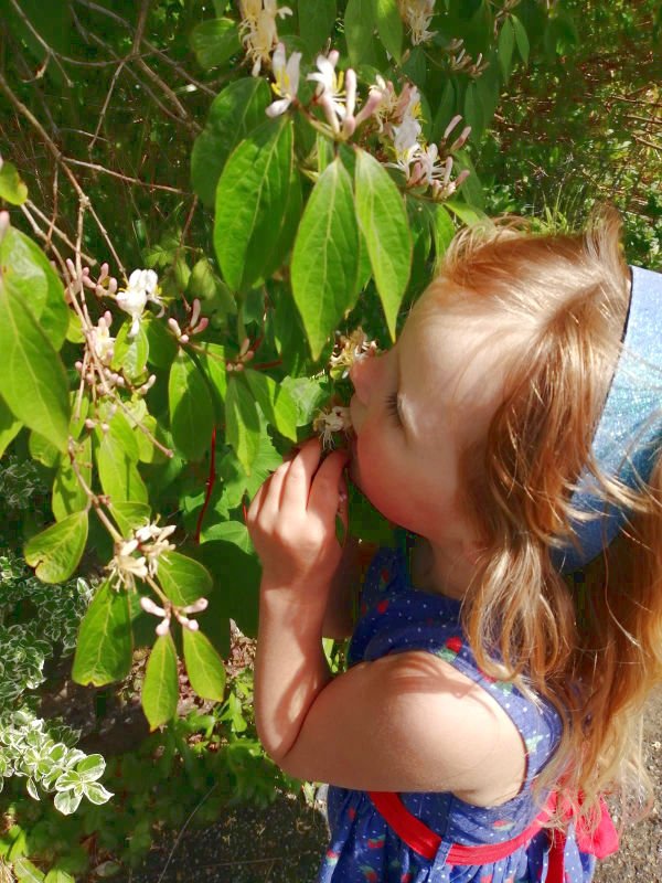 Eva smelling flowers2.jpg