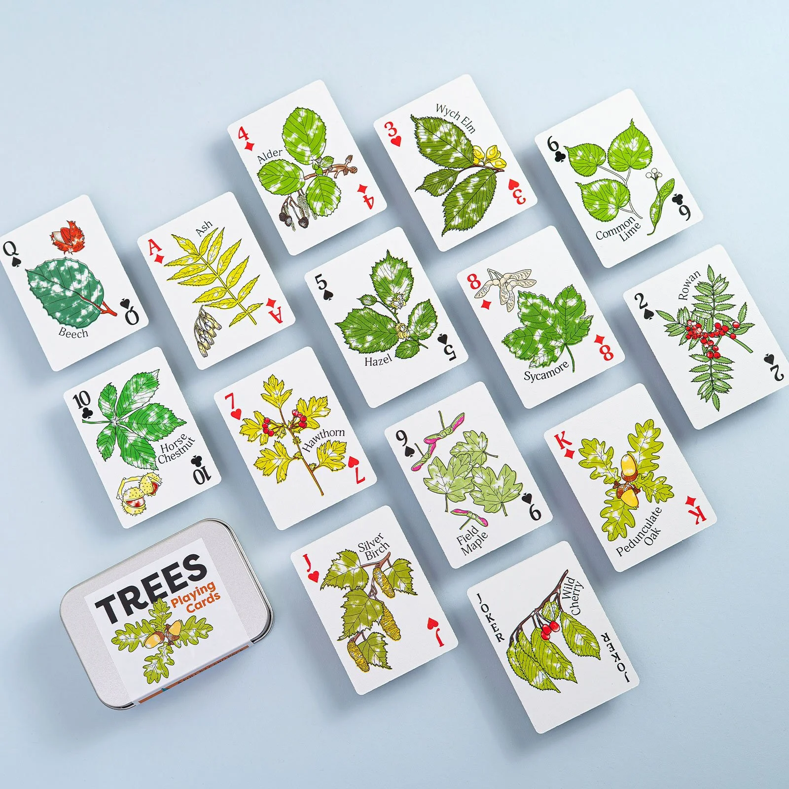 JILLY-TREES2.jpg
