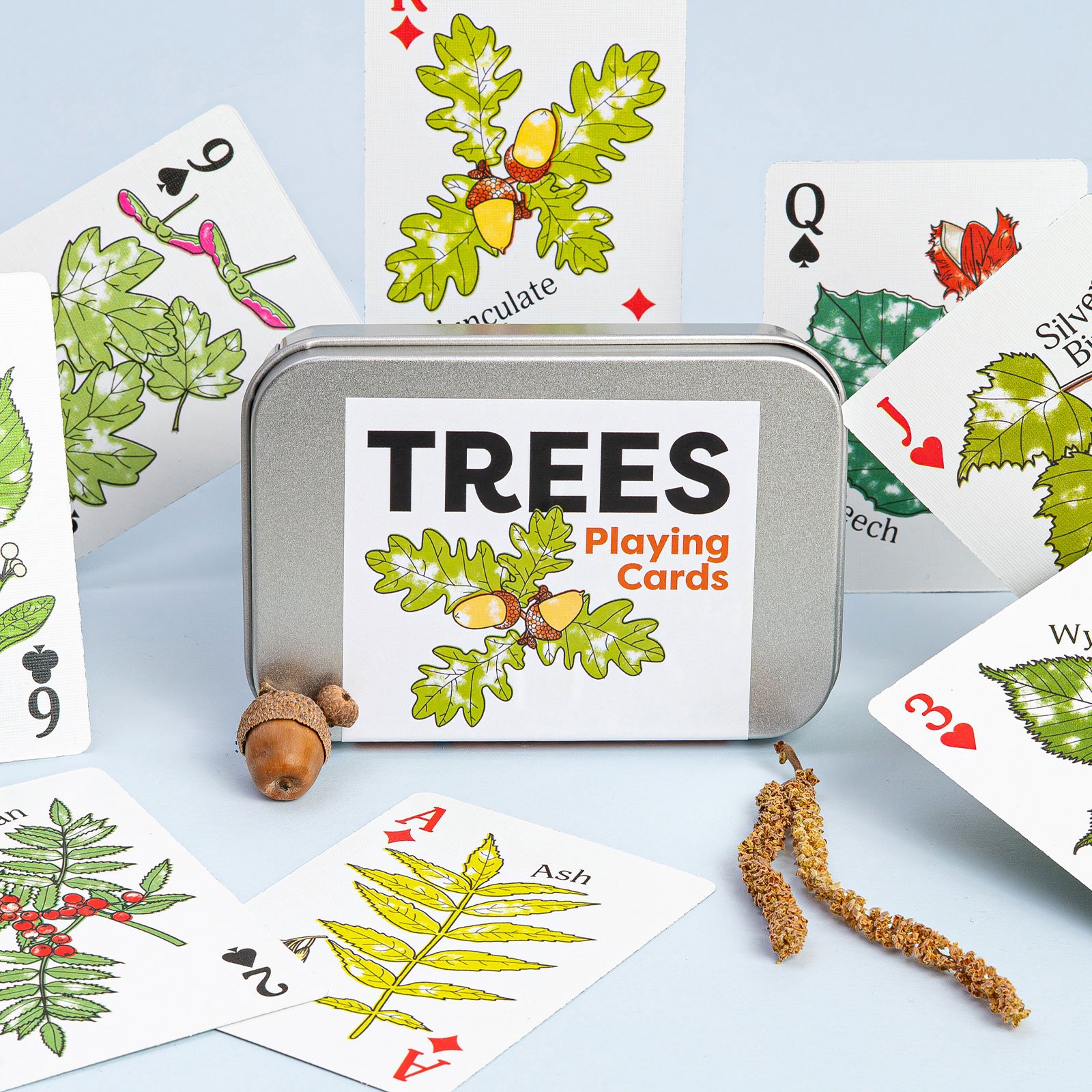 JILLY-TREES3.jpg