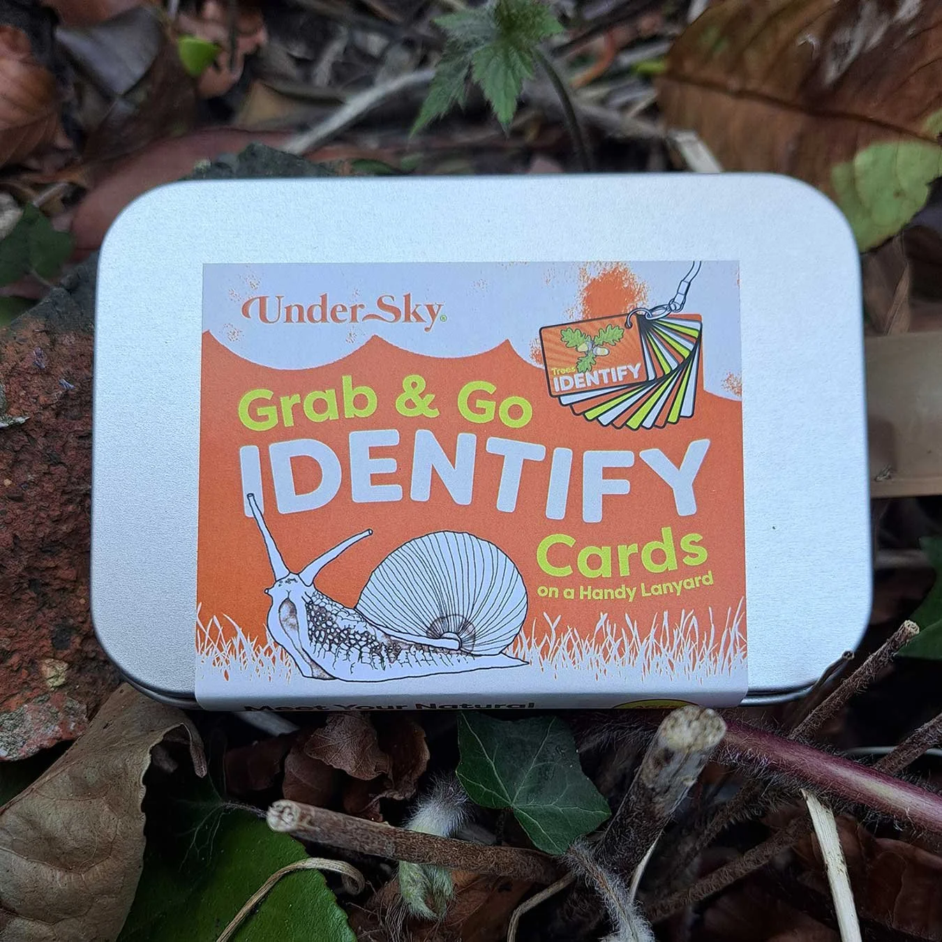 Grab & Go IDENTIFY Cards