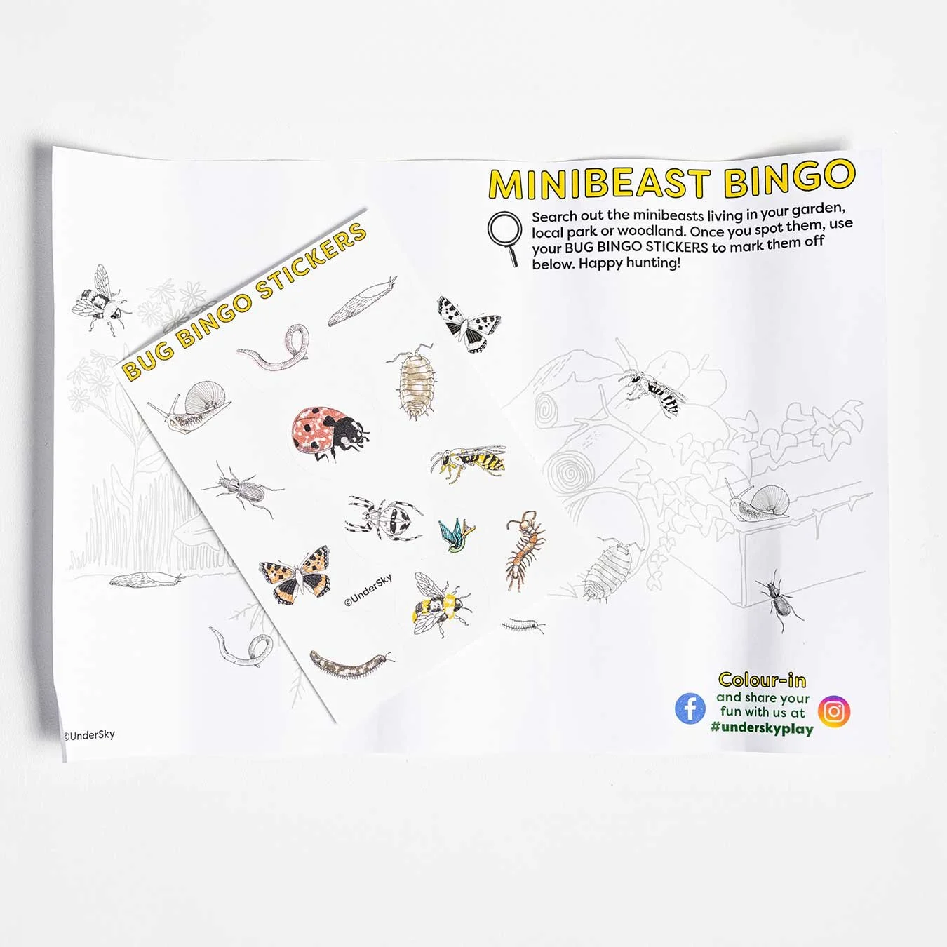 Meet-the-Minibeasts-Bingo-ETSY.jpg