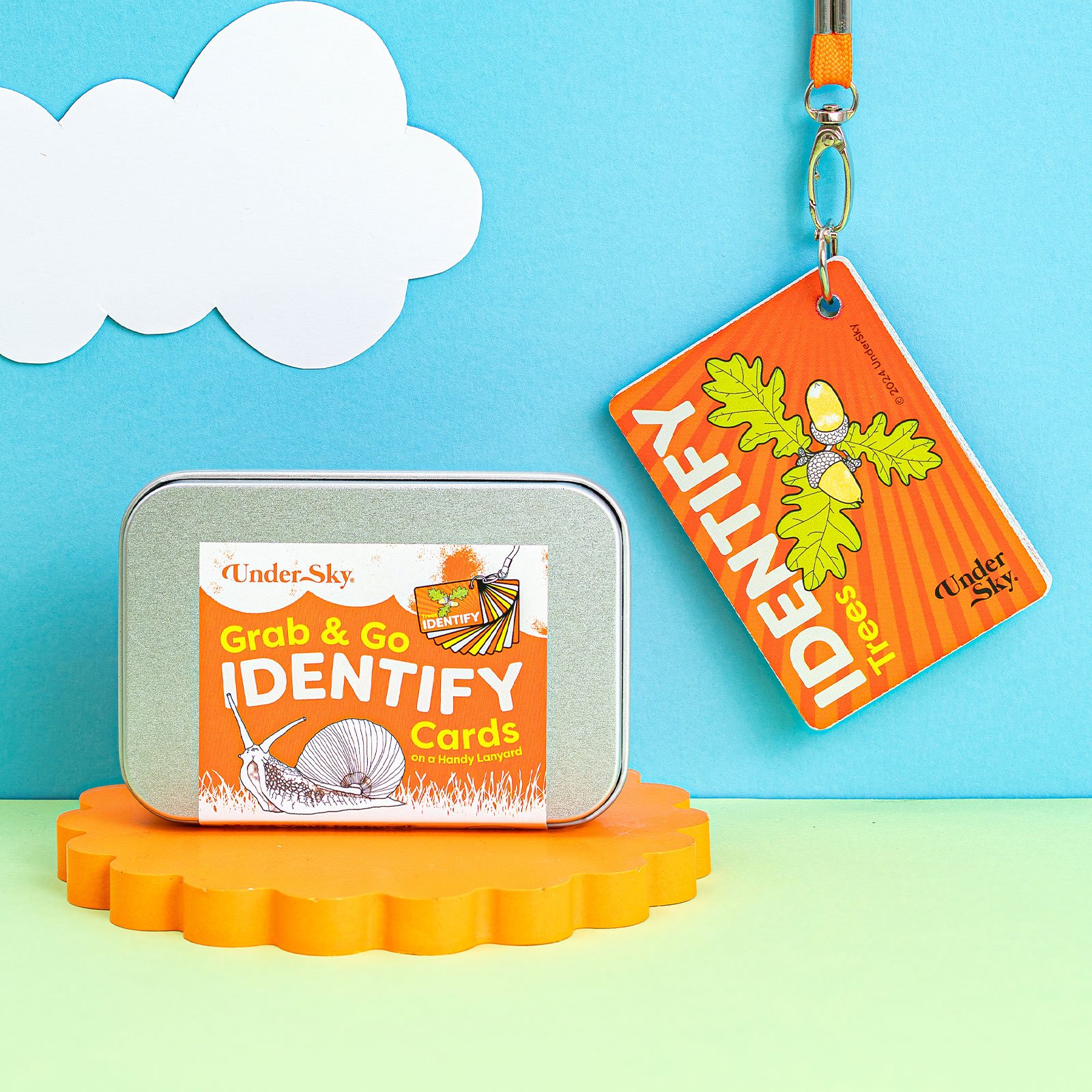 JILLY-IDENTIFY2.jpg