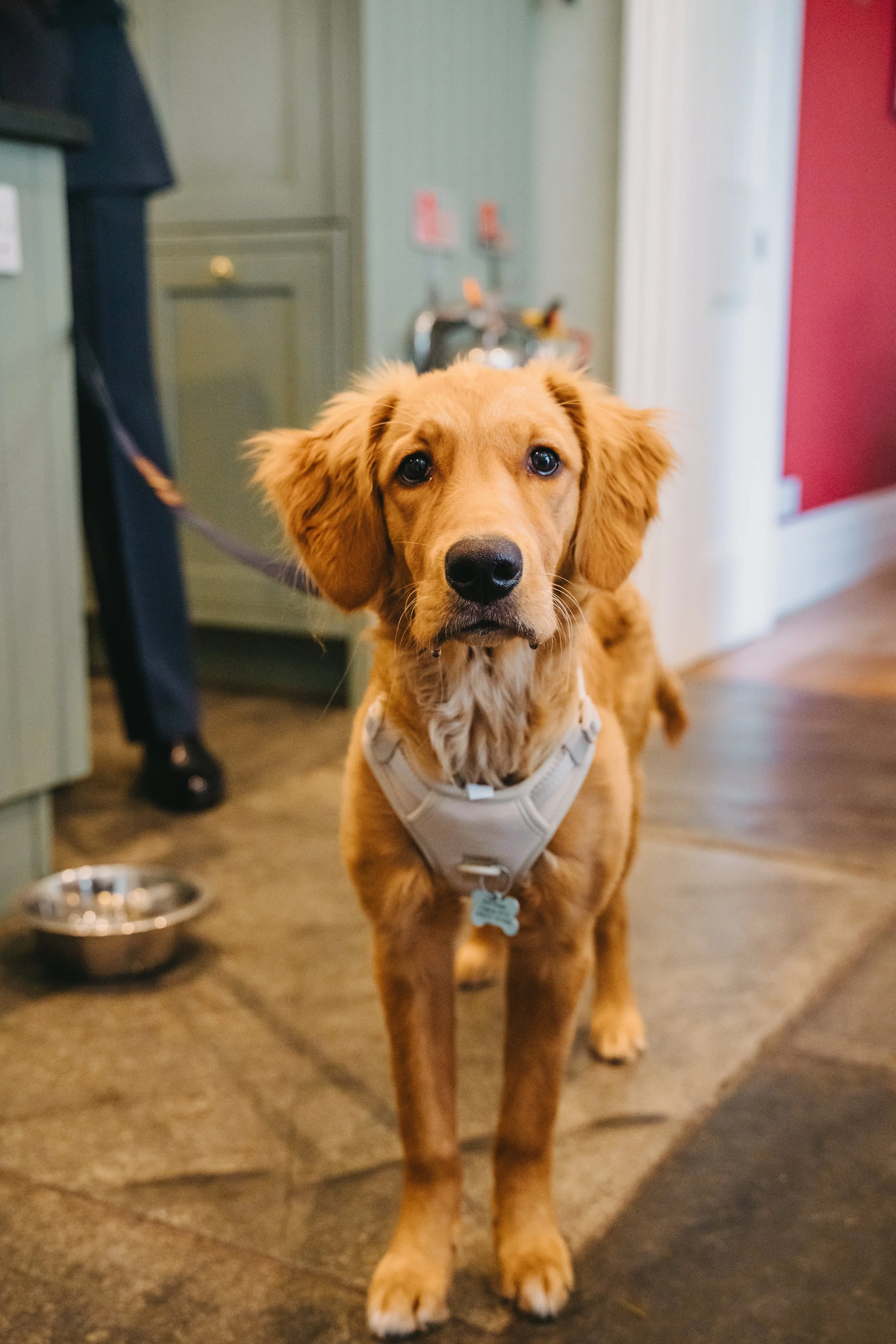 boconnionweddingphotographeridofilmandphotosaj-17.jpg