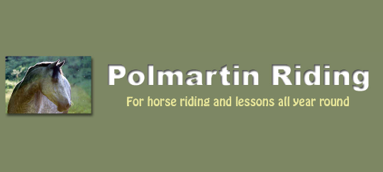 Polmartin Riding school