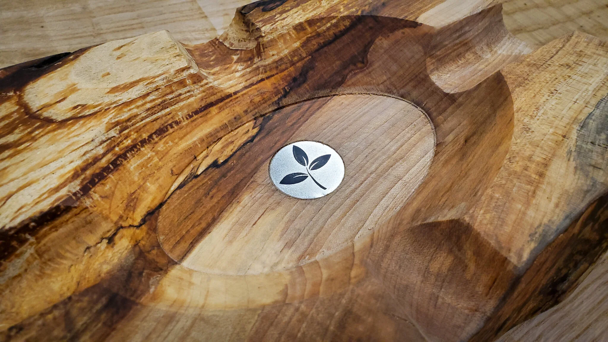 Shared from Lightroom mobile-16.jpg