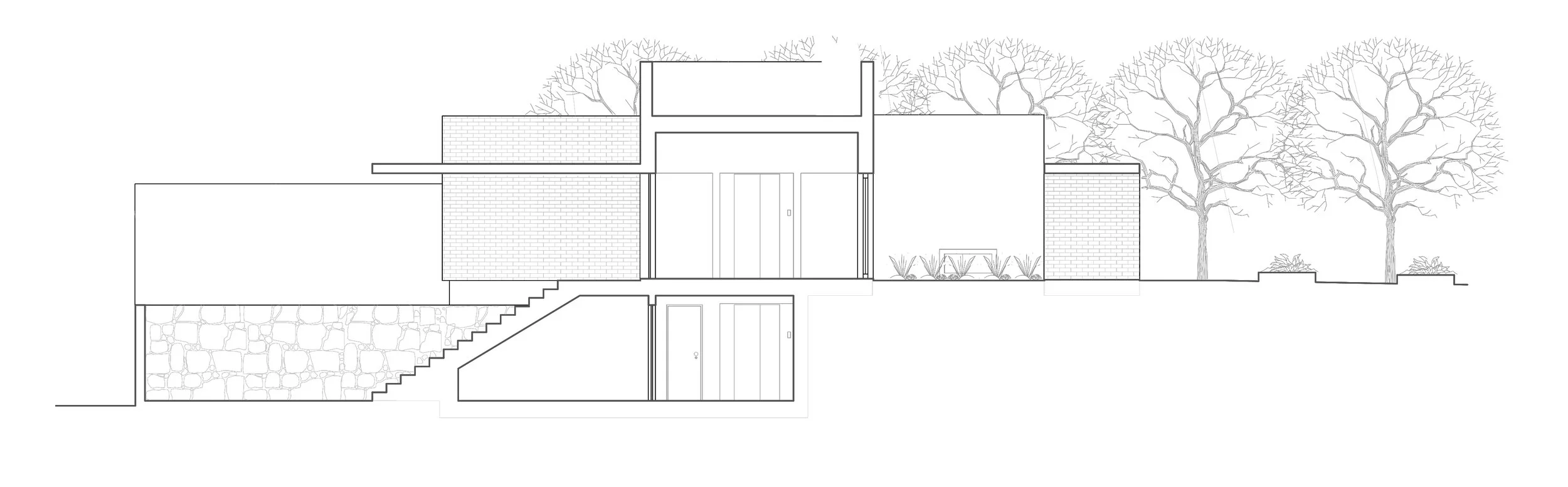 Corte transversal. Transversal section.