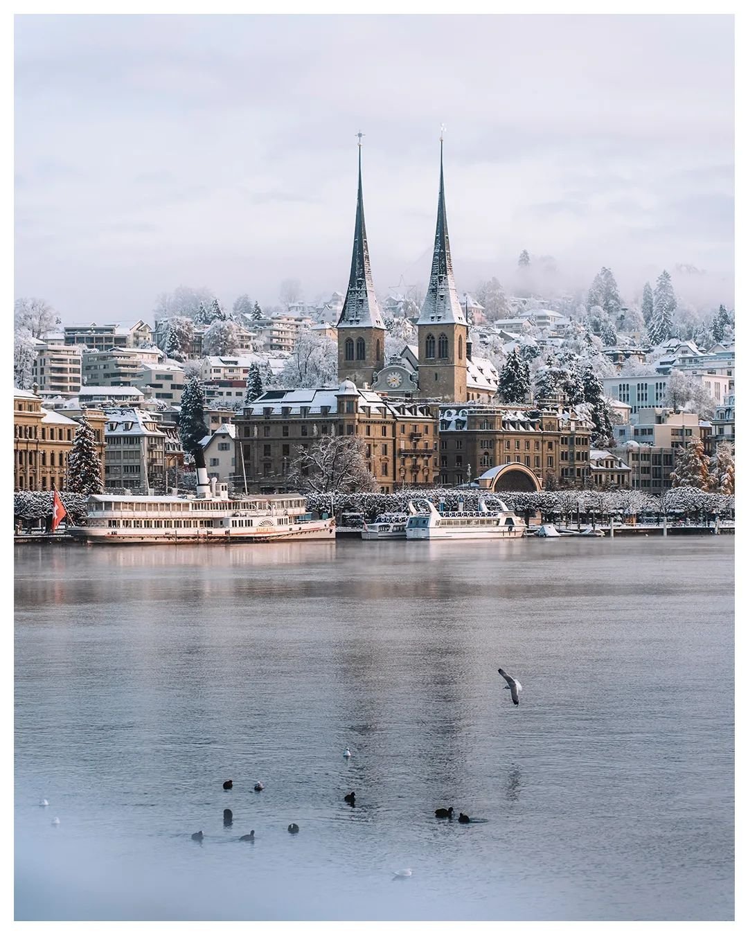 Winter came back to say hi ❄️✨️

Luzern &bull; Dezember 2023

@visitlucerne
.
.
.
#visitlucerne #myswitzerland #inlovewithswitzerland #lucernecity #lucerne #winterwonderland