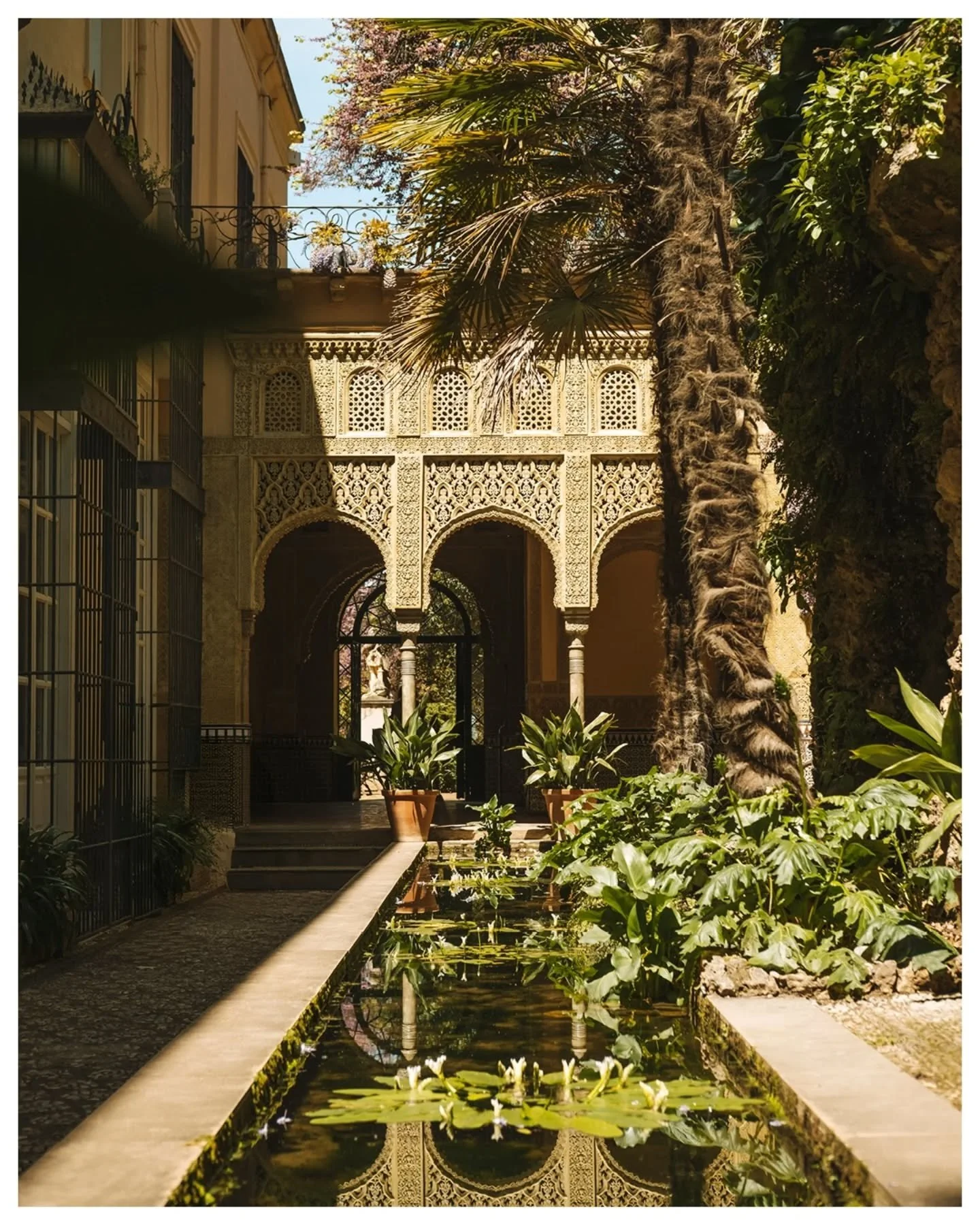 Granada 2025 | Free tapas, Semana Santa madness (still), catching a cold and looking at the Alhambra (from the outside) 🍷🍇🌱

@fujifilm_ch @granadaturismo

#granada #alhambra #visitgranada #visitspain #andalucia #fujifeed #fujixseries #fujifilmphot