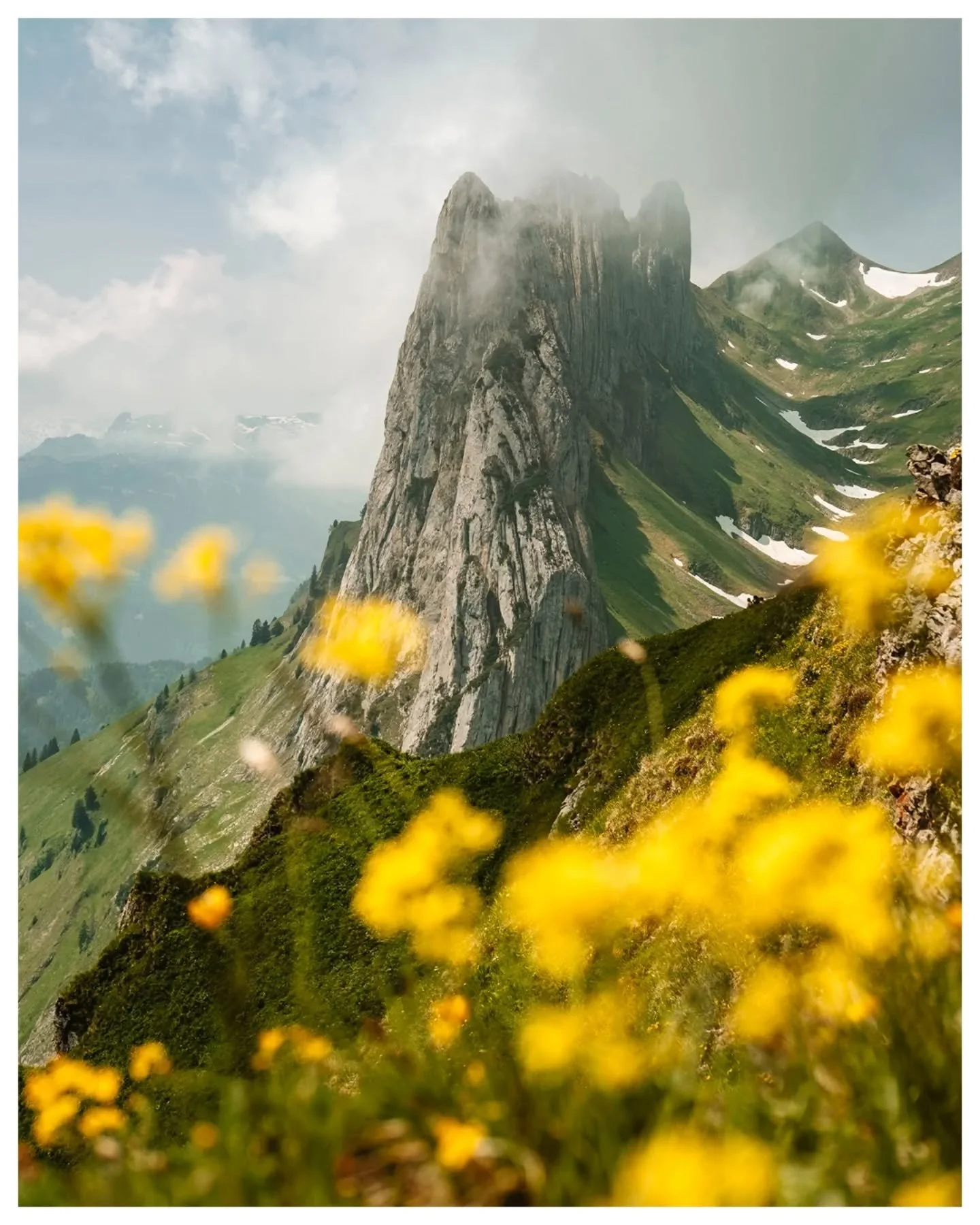 Alpstein-Adventure-H&auml;sli in the making ⛰️

Route 🥾: Hoher Kasten &ndash; Staubern &ndash; Saxer L&uuml;cke &ndash; Bollenwees &ndash; Plattenb&ouml;deli &ndash; Br&uuml;lisau
Wanderzeit: 5,5 Stunden
Strecke: 16km

@fujifilm_ch @hoherkasten @app