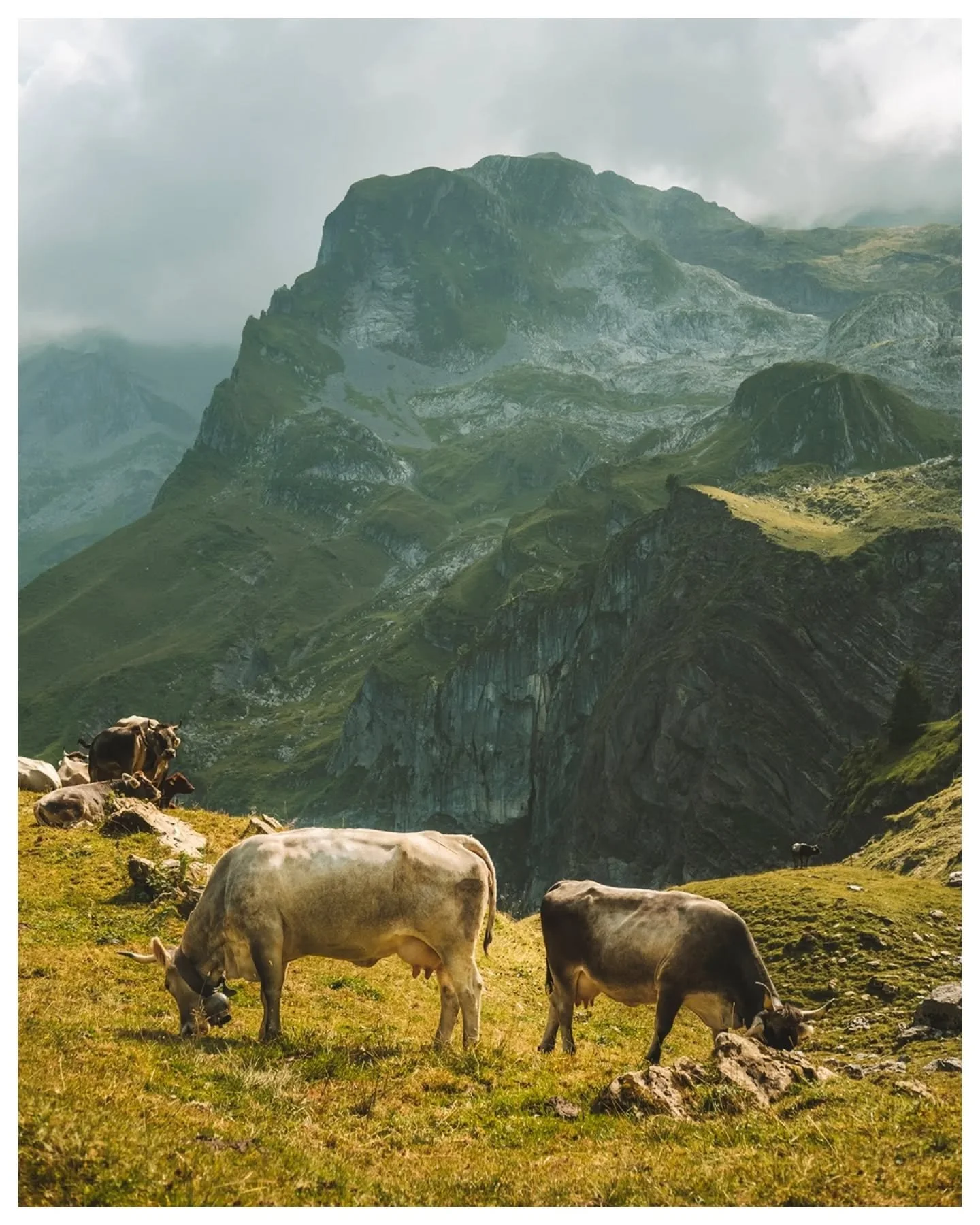 Unterwegs auf dem Walenpfad &ndash; Part 2

August 2025 | Fujifilm 35mm

@fujifilm_ch @brunni.engelberg @bannalp.ch
@nidwalden_com

 #walenpfad #myswitzerland #brunniengelberg #fujifilmphotography #fujifeed #fujifilminspiration