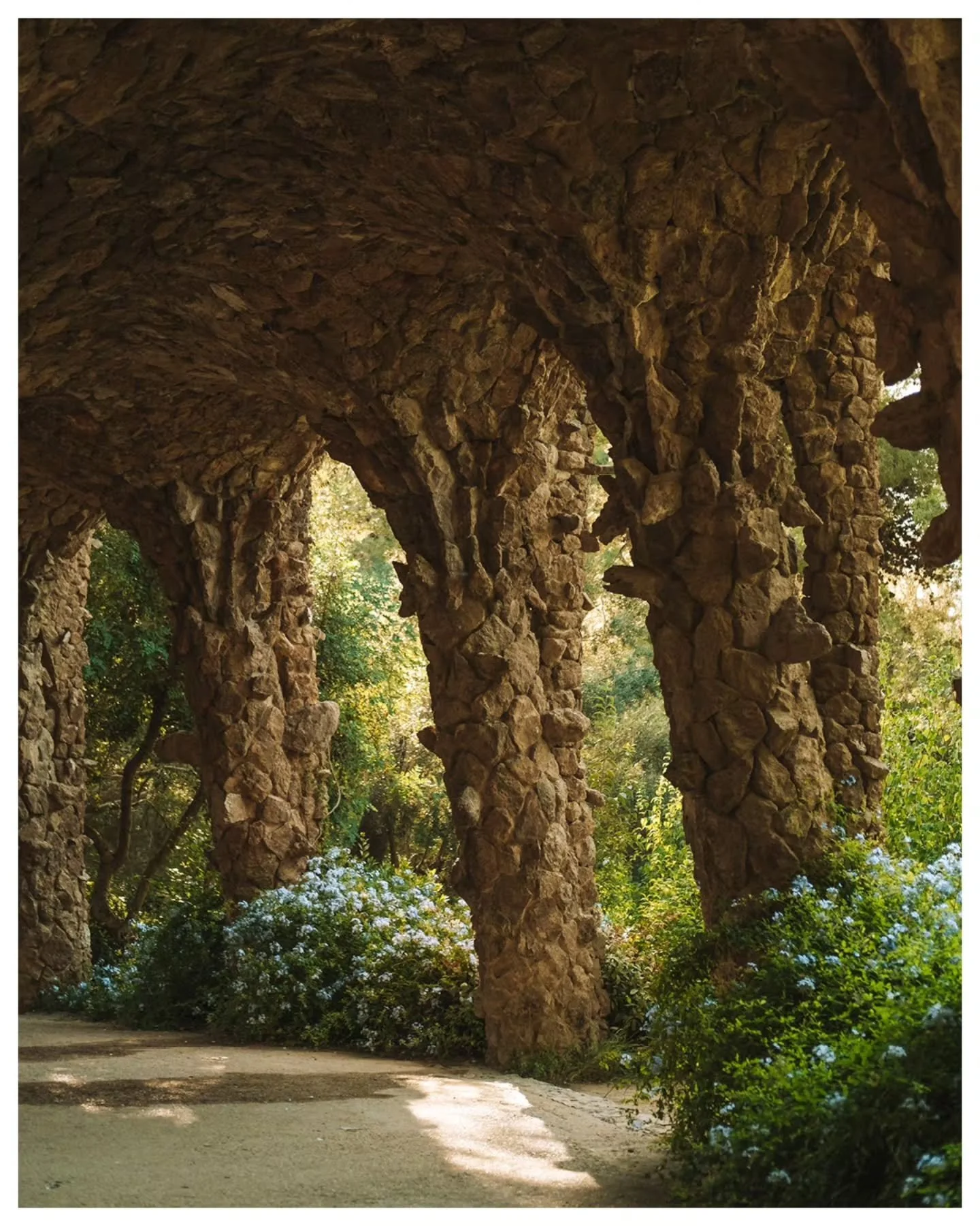 Pr&oacute;xima parada: Park G&uuml;ell ✨🌿🌸

Little day trip to Barcelona @visitbarcelona 🇪🇸

📷 Always with me my dear travel cam Fujifilm XT30 @fujifilm_ch

#ParkGuell #barcelonagram #barcelona #fujifilmphotography #fujifilminspiration #fujifeed