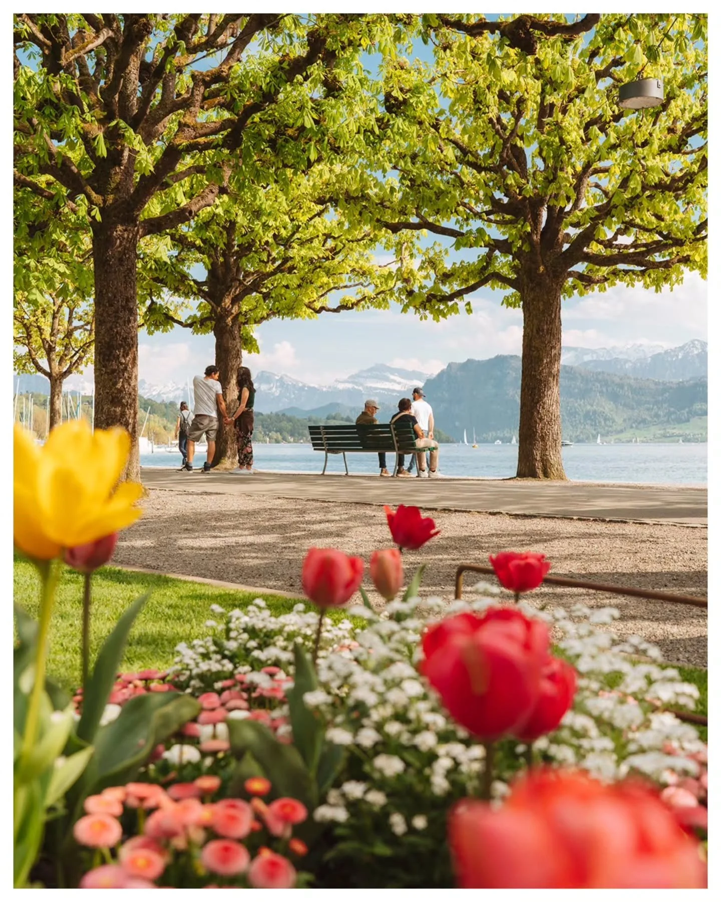 Spring in Lucerne 🌸🌿☀️

I've been out and about with my camera over the last couple of weeks. From capturing the first light (picture 7) to enjoying sunsets (picture 2) I've been trying to catch all of Lucernes beauty. 🌅

 
@visitlucerne @fujifilm