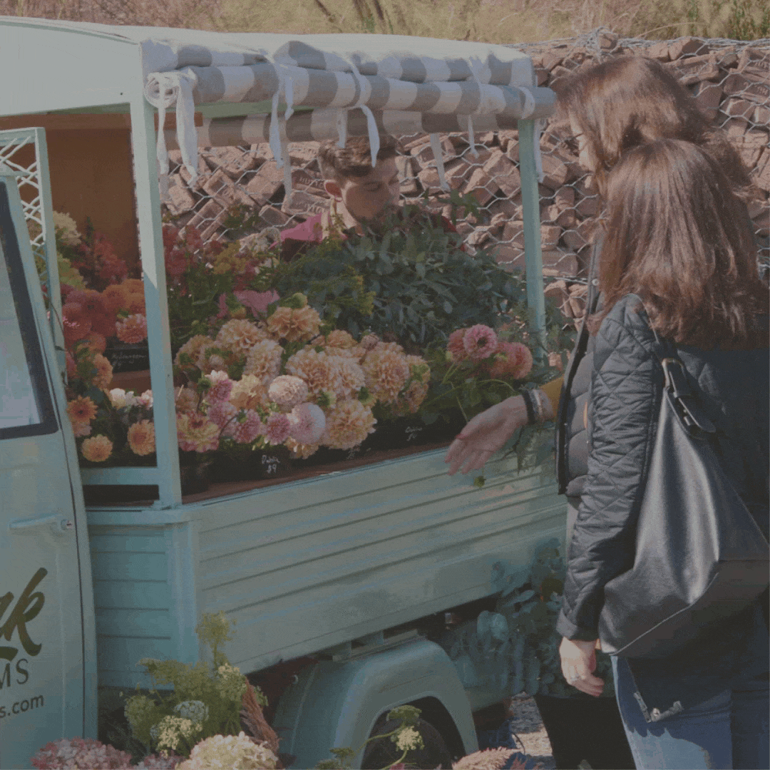 Field + Supply Spring Market