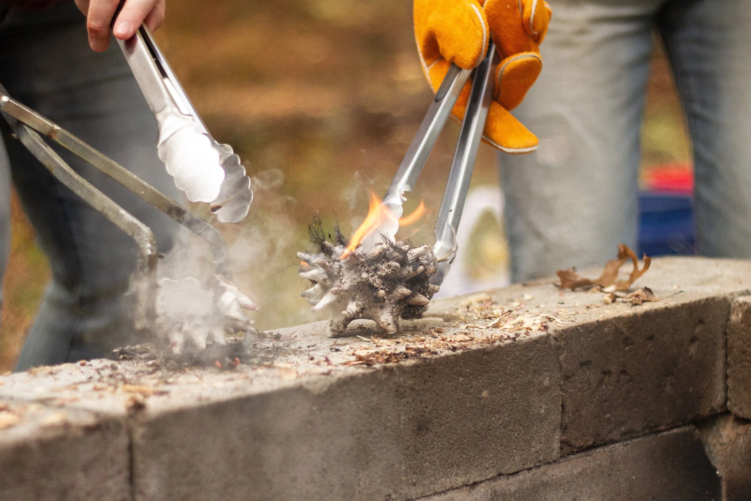 Copy of 231028_demetriachappo-135.jpg