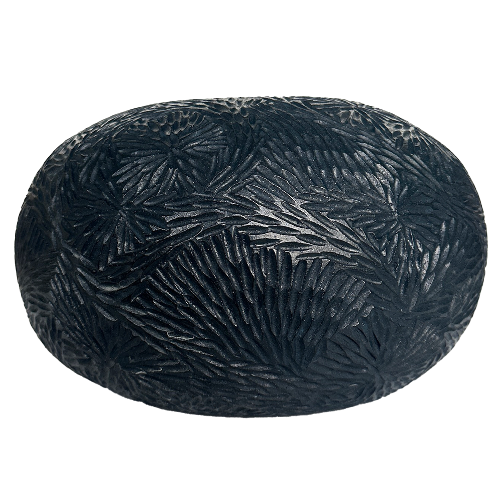 DemetriaChappo-Seed Pod XL-Poof-Midnight.png