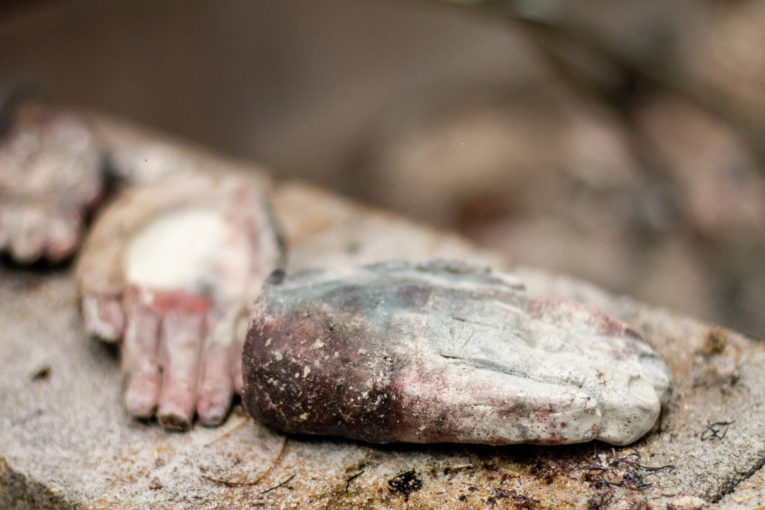 Copy of 231028_demetriachappo-163.jpg