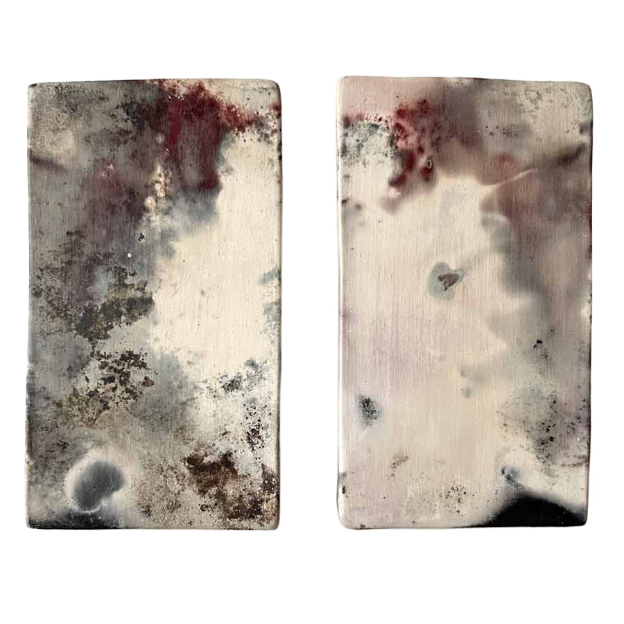 DemetriaChappo-Astra-SmokePainting-Diptych-nb.png