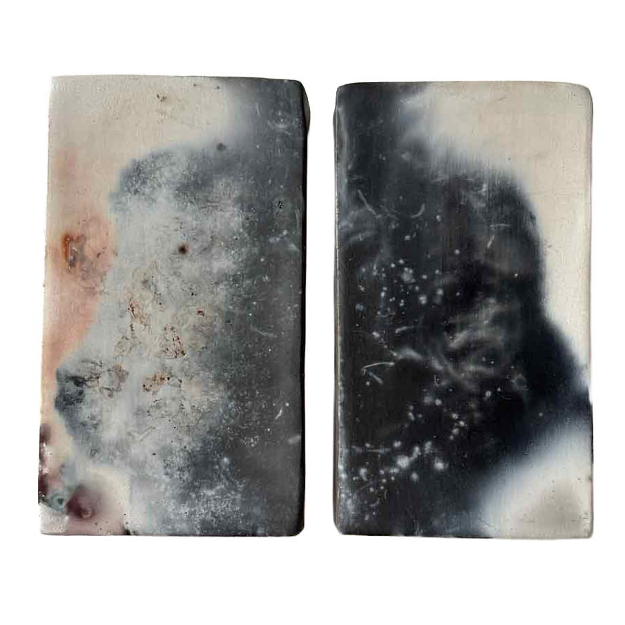 DemetriaChappo-Celeste-SmokePainting-Diptych-nb.png