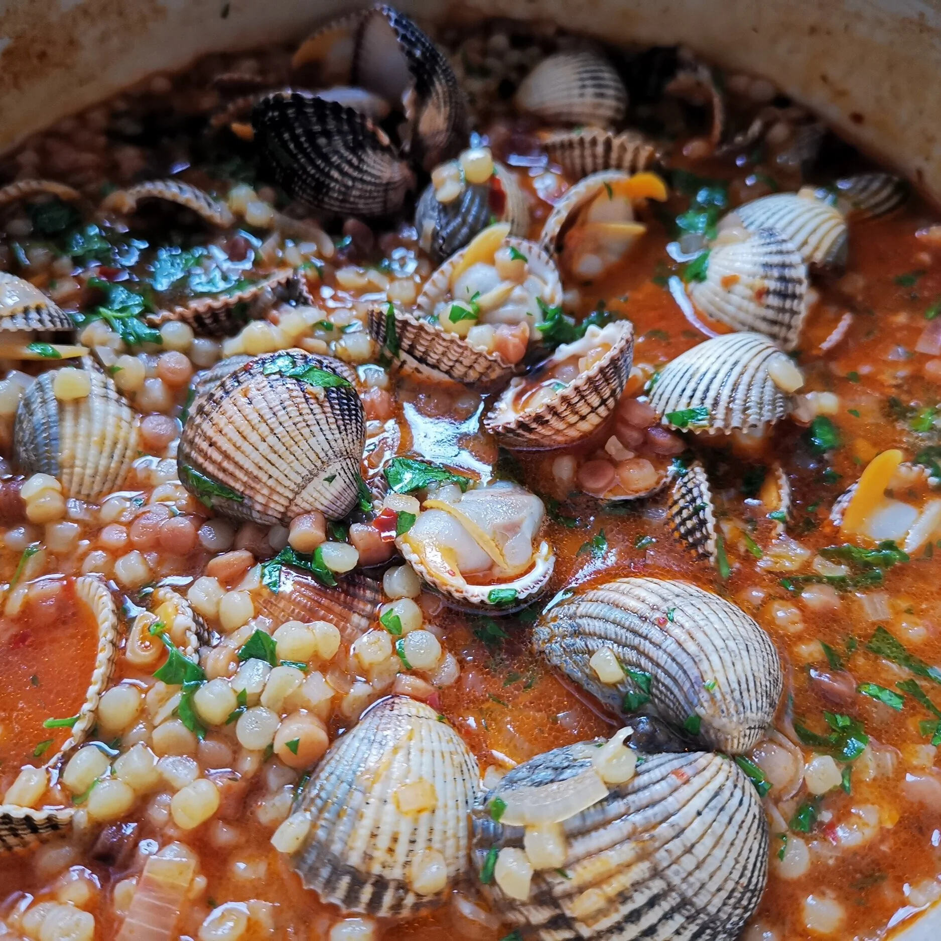 Day 31: swapping bivalves