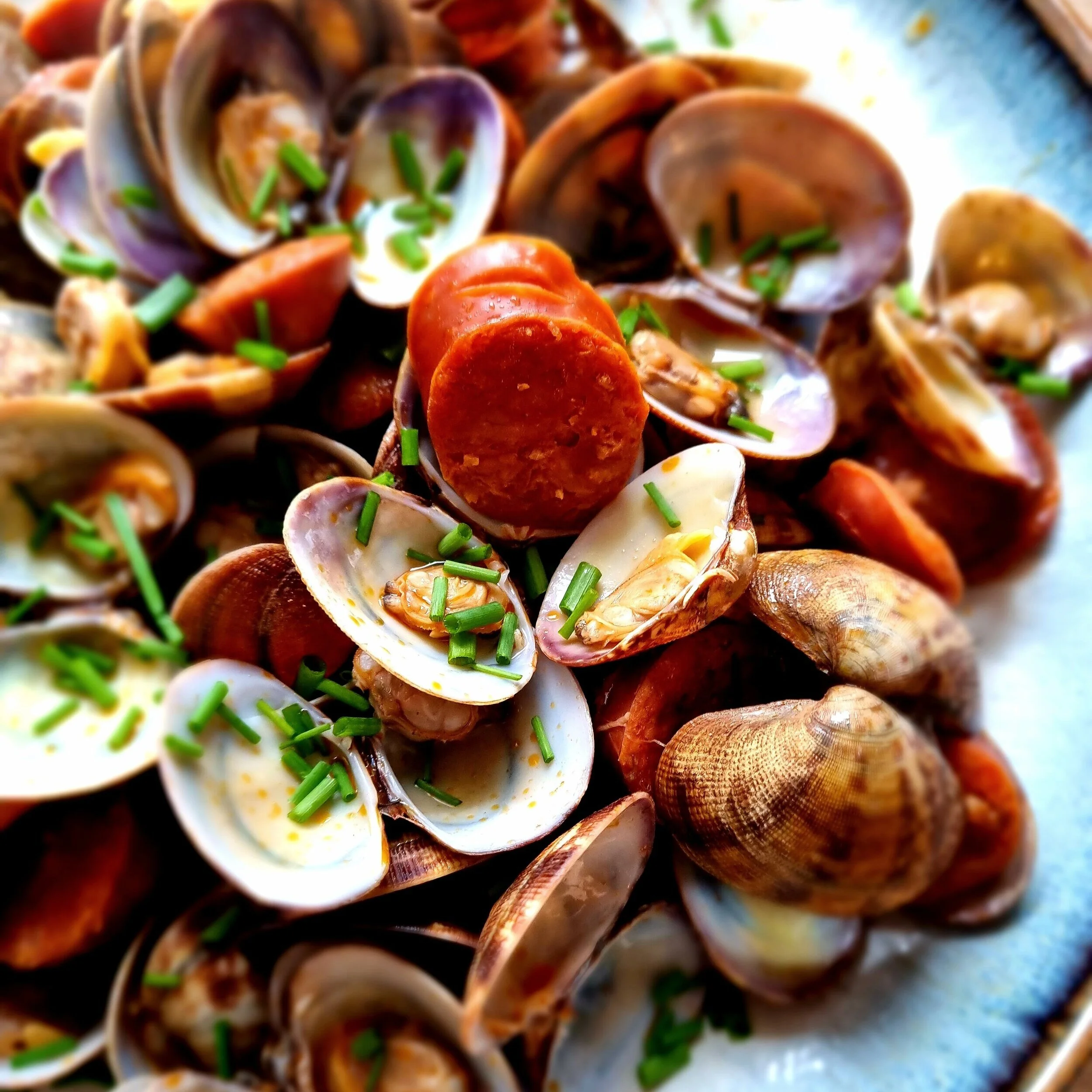 Day 37: shellfish saturdays