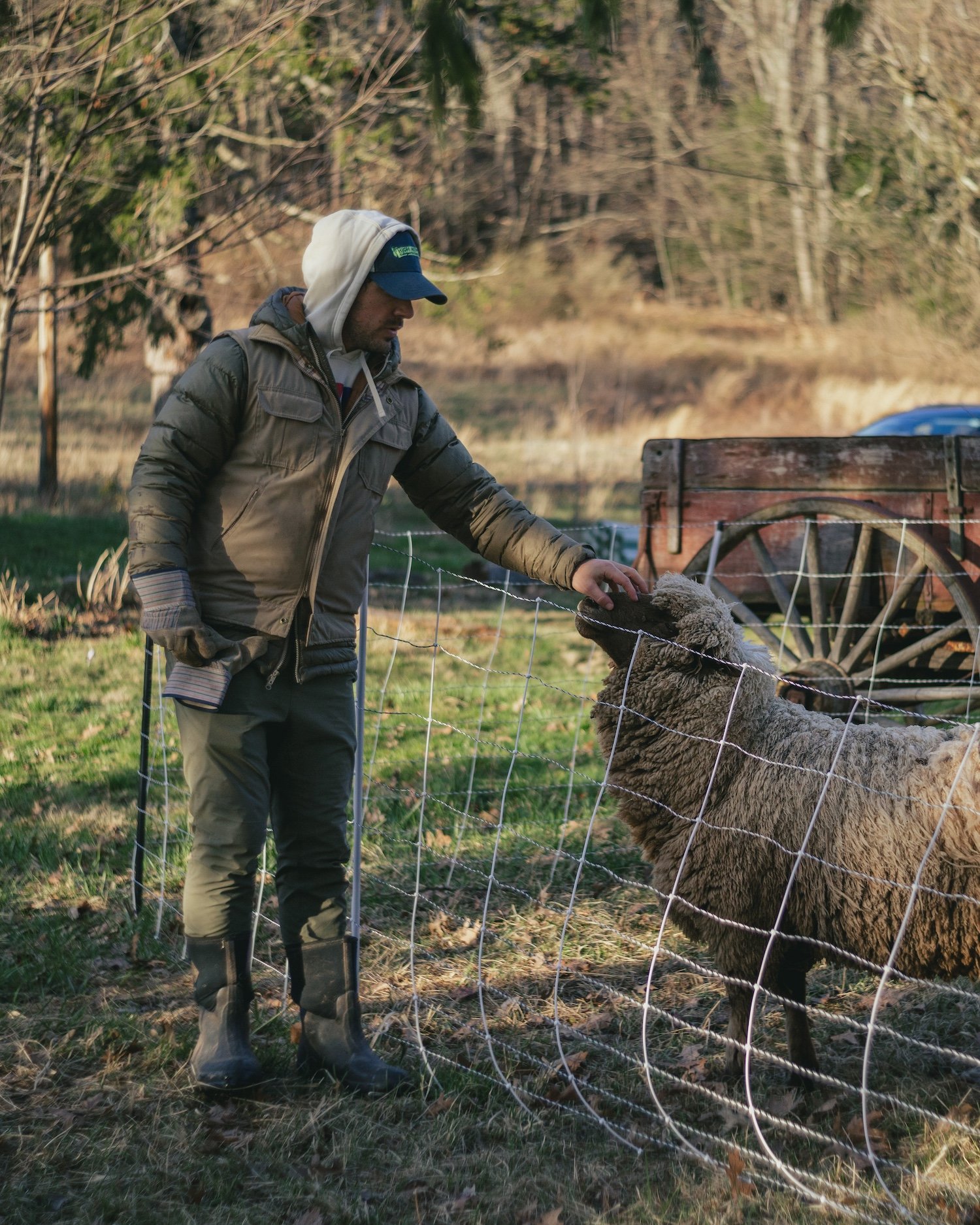 High Vibrational Stewardship Practices