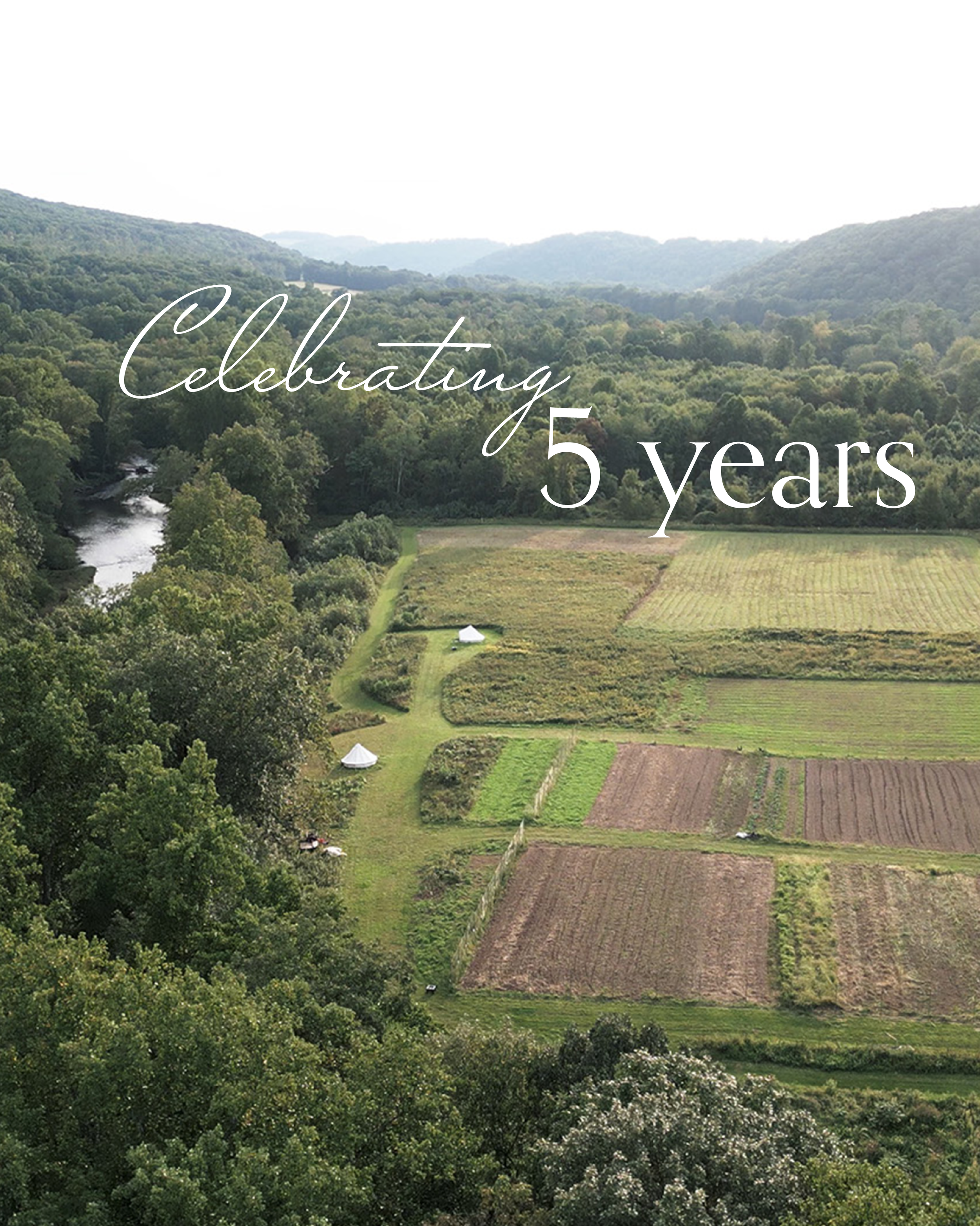 Celebrating 5 years at the Farm