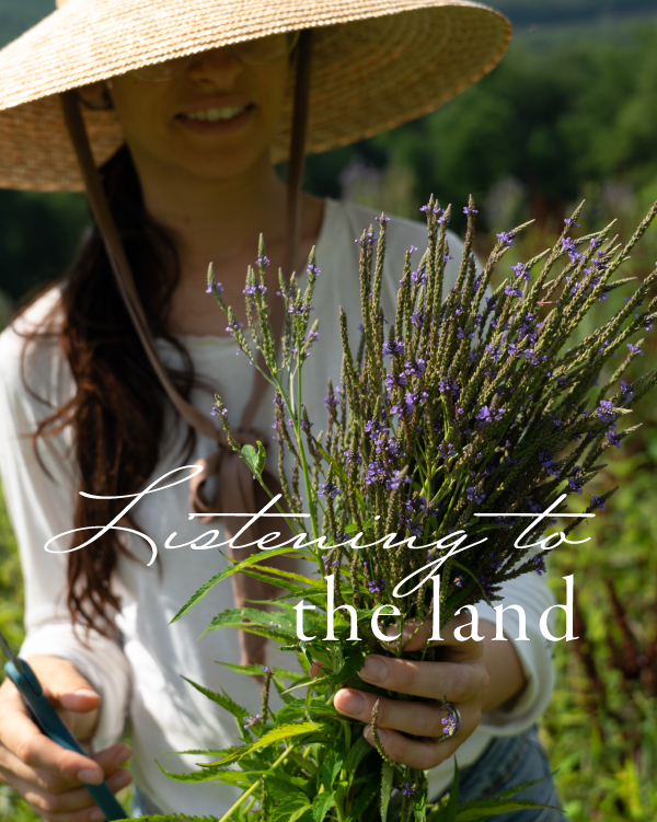 When the land Speaks, We listen
