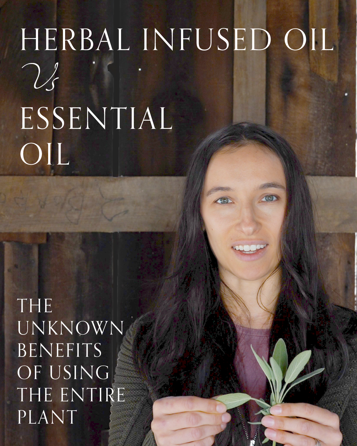 Infused vs Essential Oils: Benefits of The Entire Whole Plant