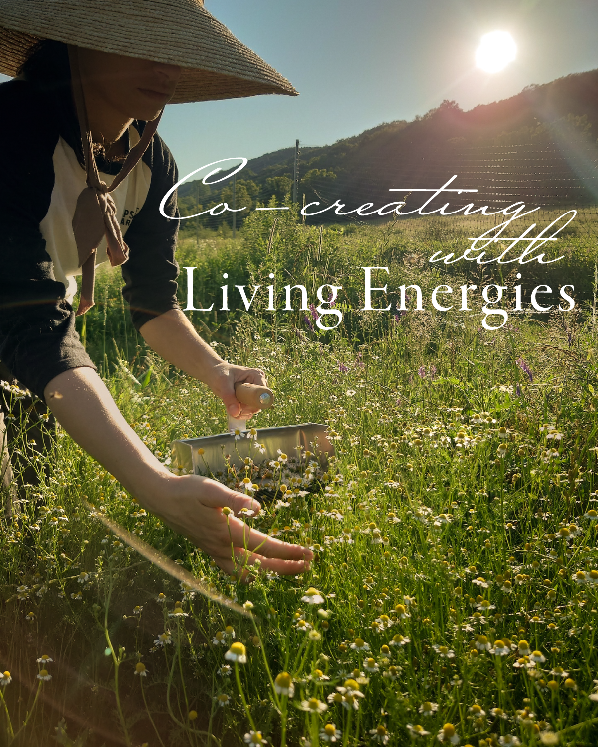 Co-Creating with Gaia's Living Energies