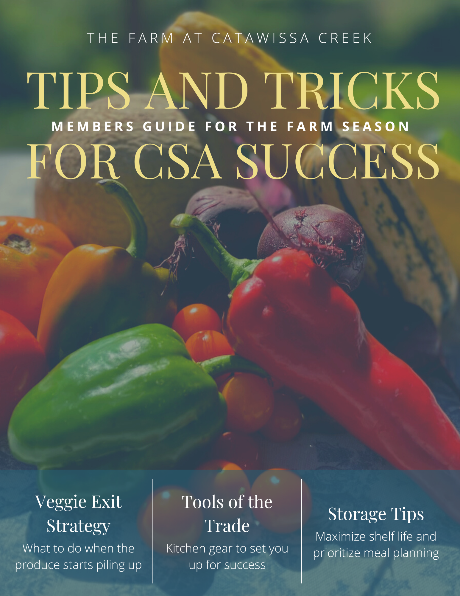 CSA Tips and Tricks for Success.png
