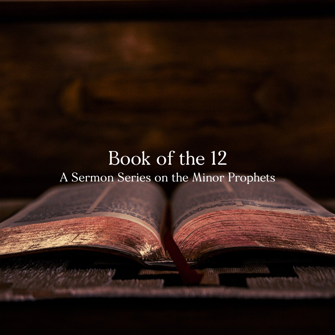 Join Us At 10am On Sundays For Our Sermon Series, Book of the 12