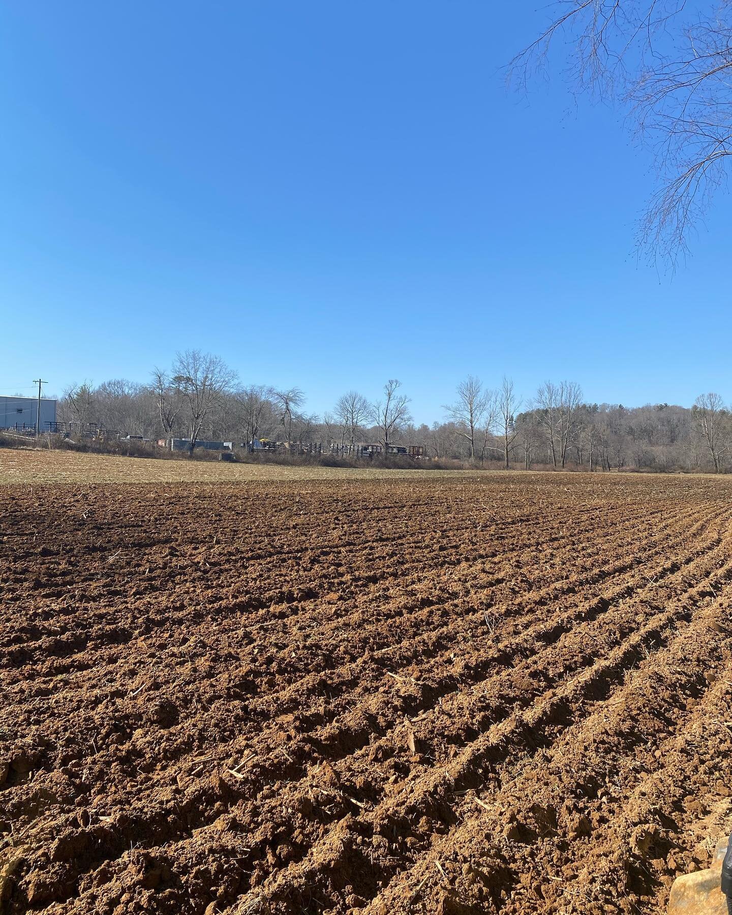 Future French fry field.