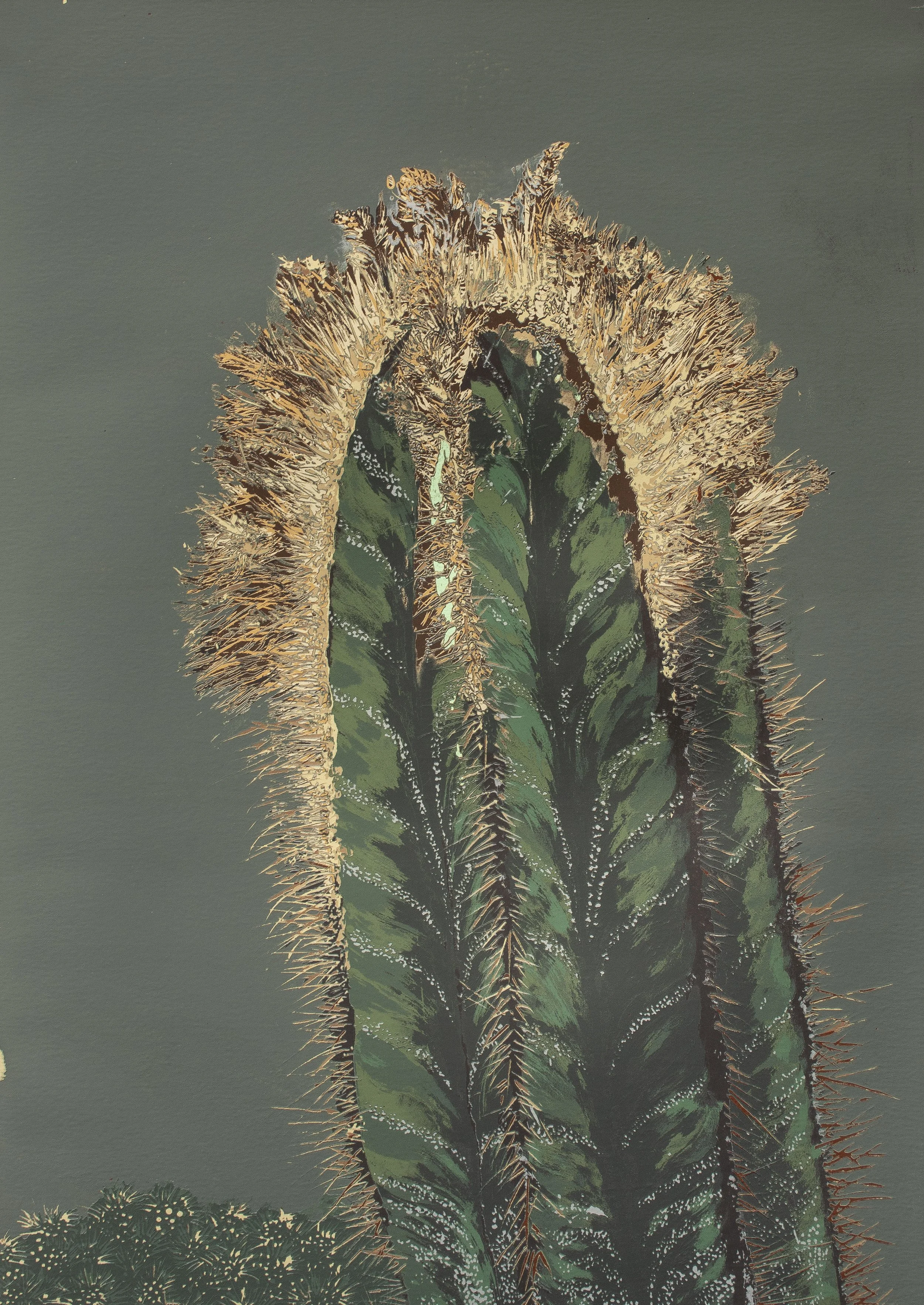 Cactus study 2.JPG