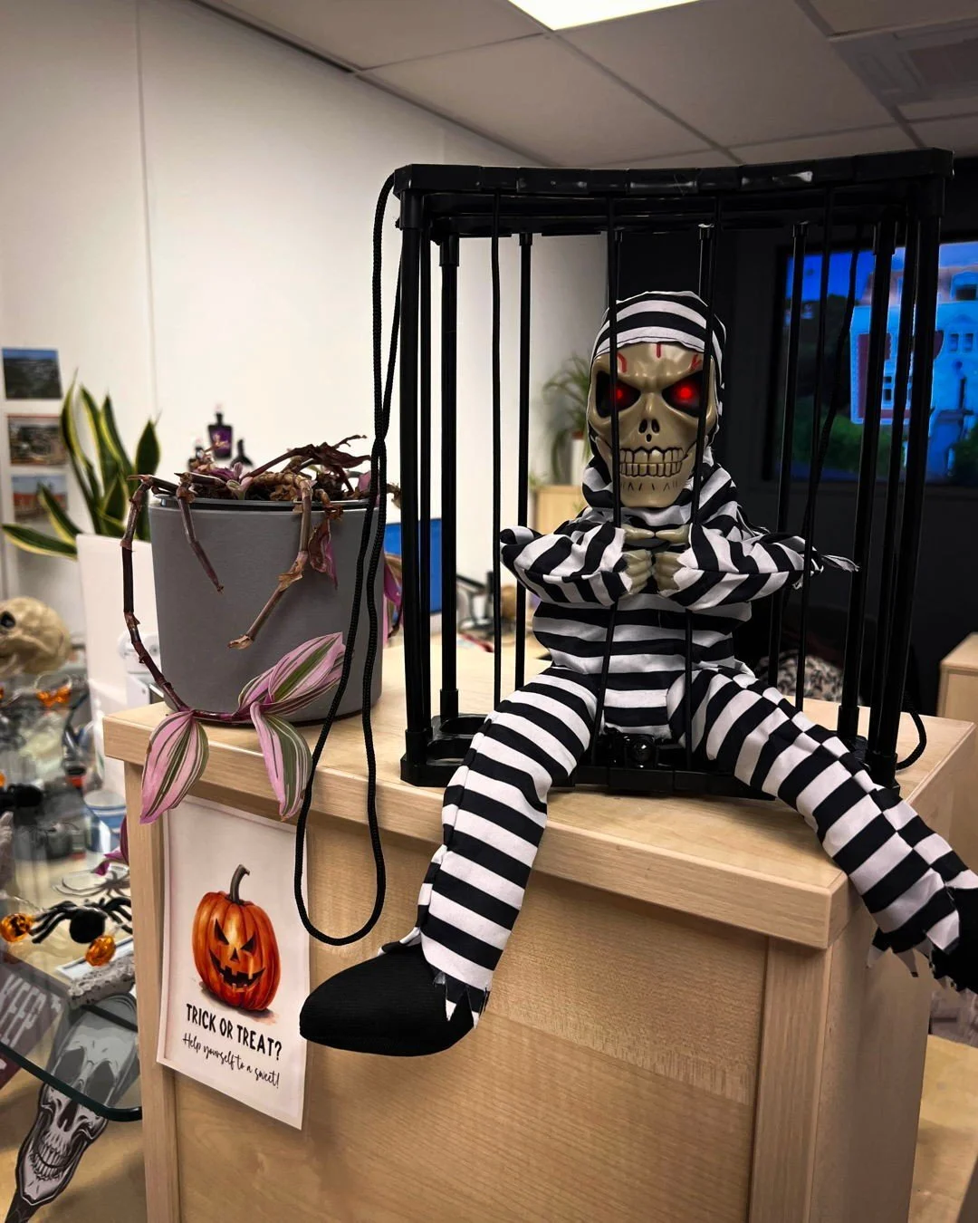 The pumpkins are out and the cobwebs are up 👻
The Dock Hub is looking a little more spooky this week as we get ready for Halloween in Hove.
Come take a look&hellip; if you dare 🕸️

#DockHubLife #HalloweenInHove #CoworkingCommunity #BrightonAndHove