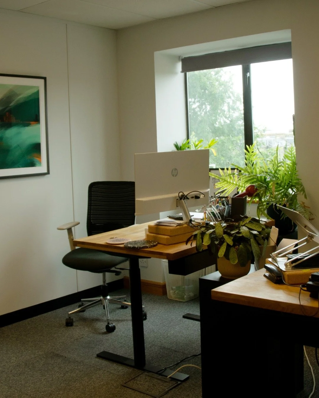 Your next desk is waiting for you 🌿
A bright, calm space to focus and get things done, right here in Hove.

📞 01273 830 330
📩 info@thedockhub.co.uk

#DockHubLife #CoworkingHove #WorkLocal #BrightonAndHove #FreelancerLife