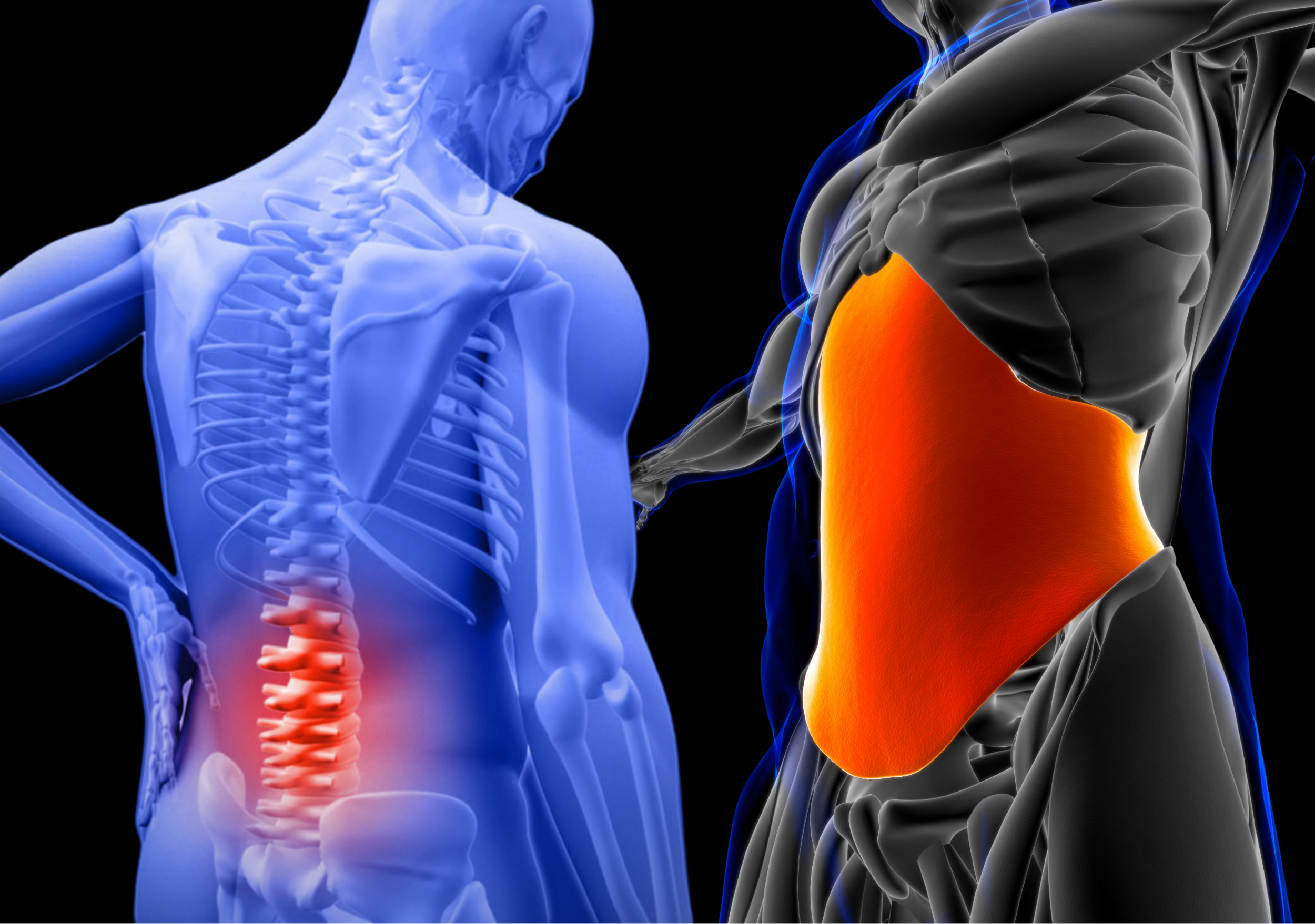 Using Your CORE to Keep Your Lower Back Happy!